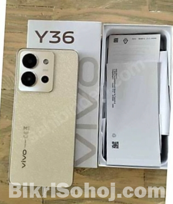VIVO Y 36 model
